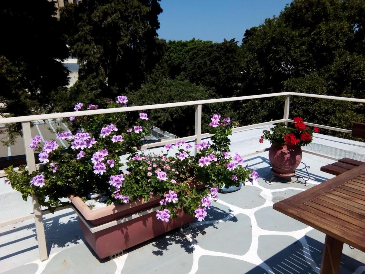 Park House -Beside The Medieval Town Of Rhodes Rhodes City Exteriör bild